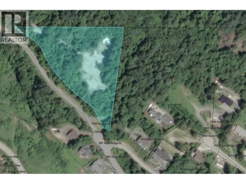 1010 QUARRY LANE, Squamish, photo 7