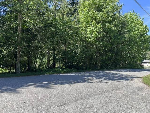 63560 OLD YALE ROAD, Hope, Hope, photo 6