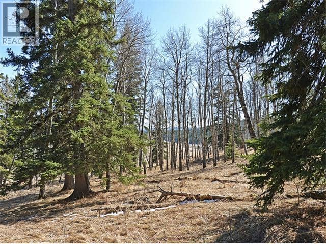 15 Kicking Horse Way, Rural Foothills County, photo 4