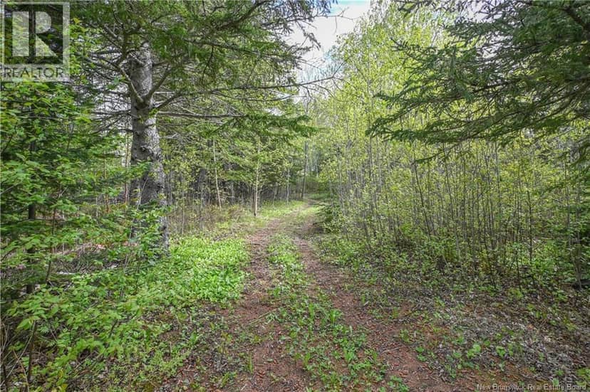 95 Acadie Street, Grande-Anse, photo 8