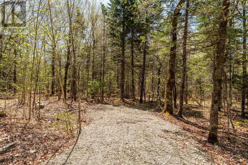Lot 3 Chemin Theriault Point Road, Belliveaus Cove, photo 4