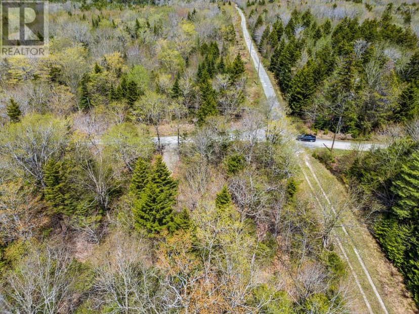 Lot 3 Chemin Theriault Point Road, Belliveaus Cove, photo 8