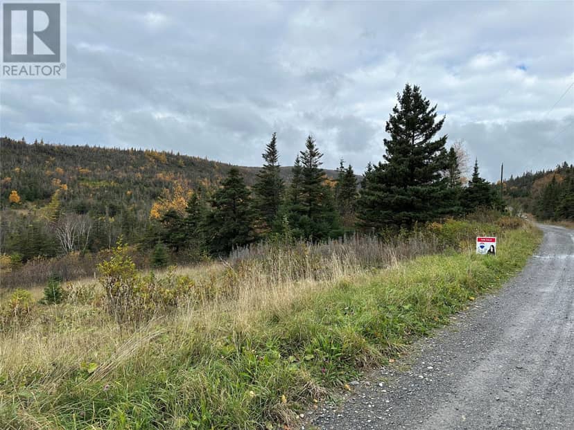 Lots 0-3 Neddies Harbour Road, Norris Point