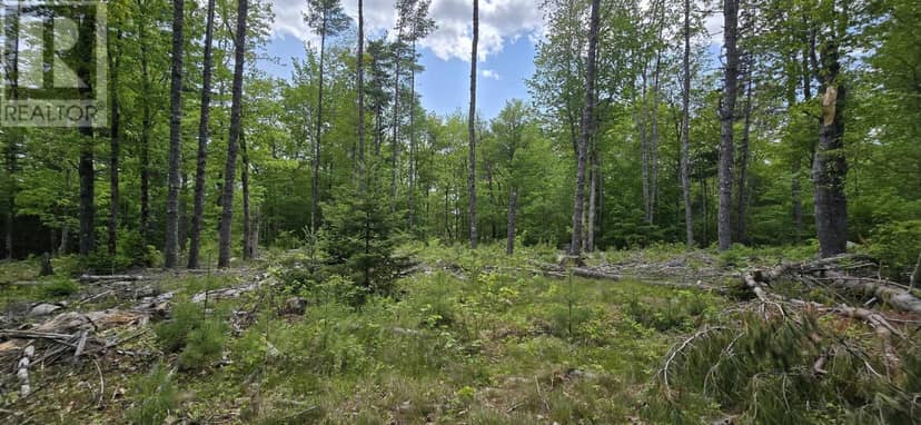 Lot 24-6 East Clifford Road, East Clifford, photo 8