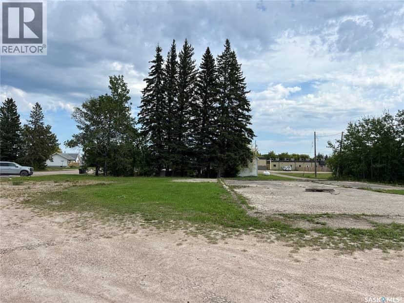 100-103 Main STREET E, Dorintosh, photo 5