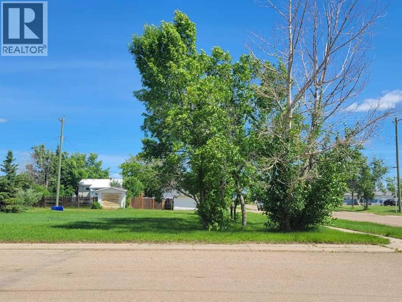 5301 Victoria Avenue, Coronation, photo 3