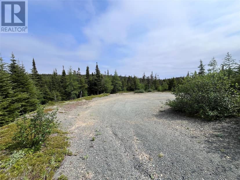 56 World Pond Road, Port Rexton, photo 4