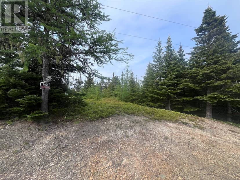 56 World Pond Road, Port Rexton, photo 6