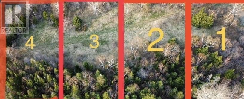 2 Trail Avenue, Brown's Arm, photo 3