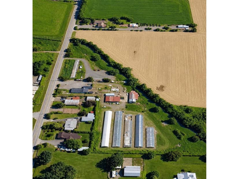 5390 MCCALLUM ROAD, Agassiz, Agassiz