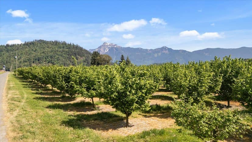 4602 HUNT ROAD, Agassiz, Agassiz, photo 4