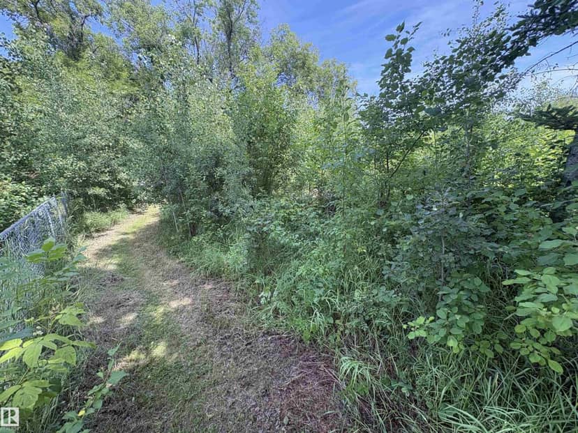 #2 University AV, Fort Assiniboine, photo 8