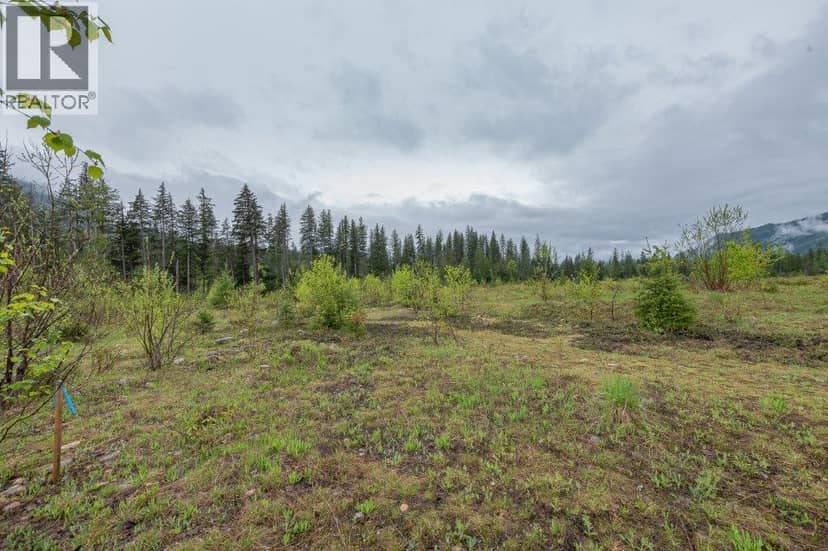 4103 Balsam Way, Malakwa, photo 6