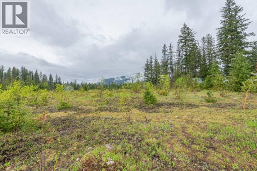 4103 Balsam Way, Malakwa, photo 7