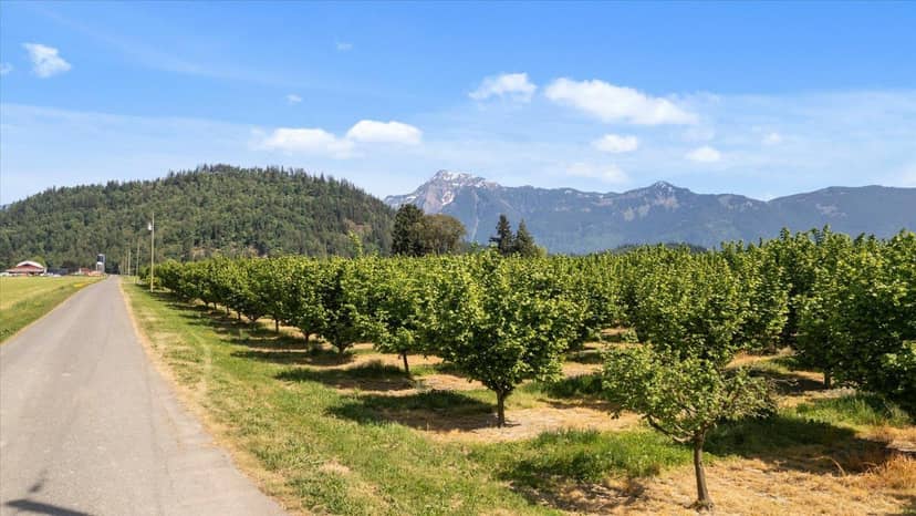 4602 HUNT ROAD, Agassiz, Agassiz, photo 8