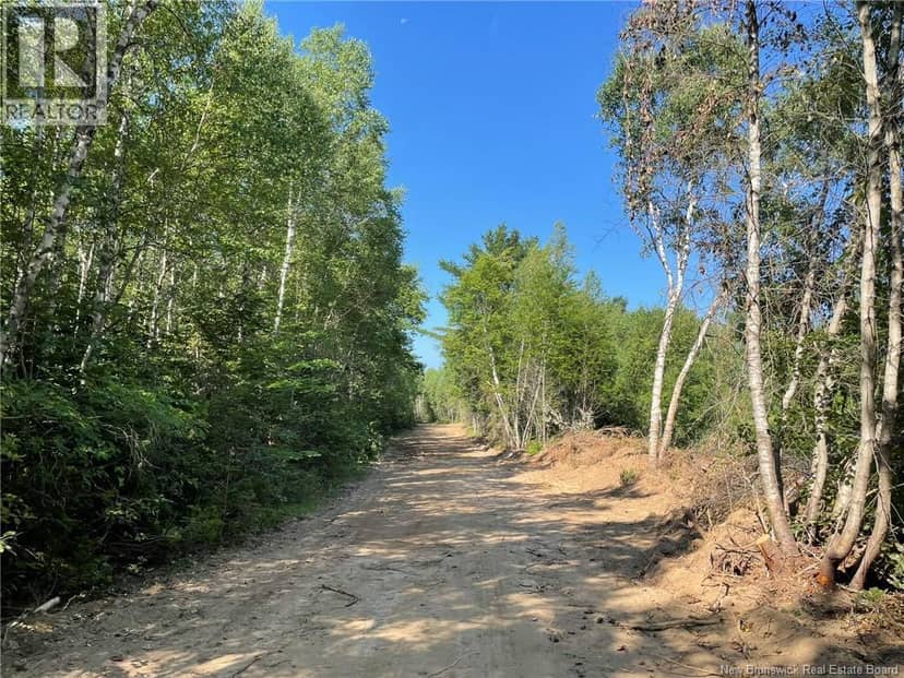 Lot Richard Hill Road, Shediac Bridge, photo 6