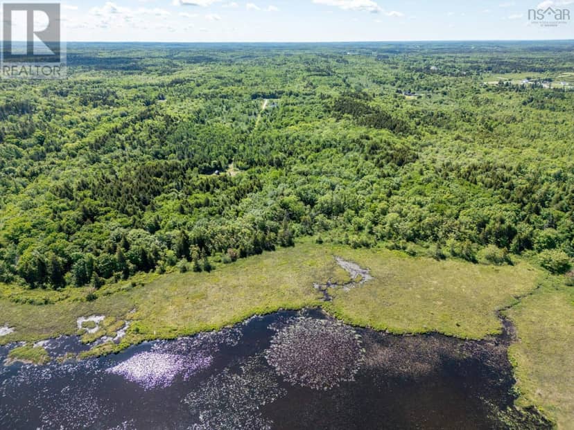 Lot Boudreau Branch Road, Church Point, photo 5