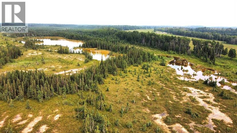Range Road 43 Twp Rd 360, Caroline, photo 2