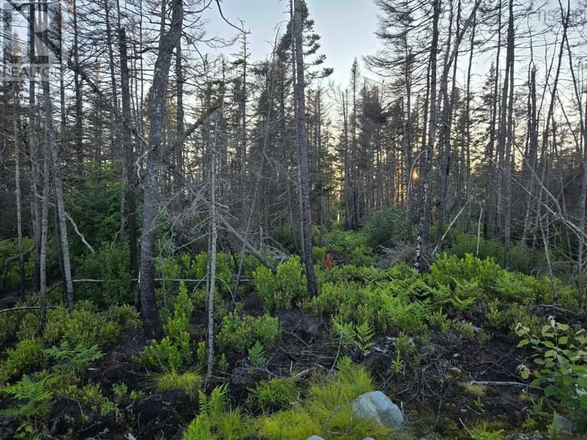 Lot M-3 2640 West Sable Road, Little Harbour, photo 5