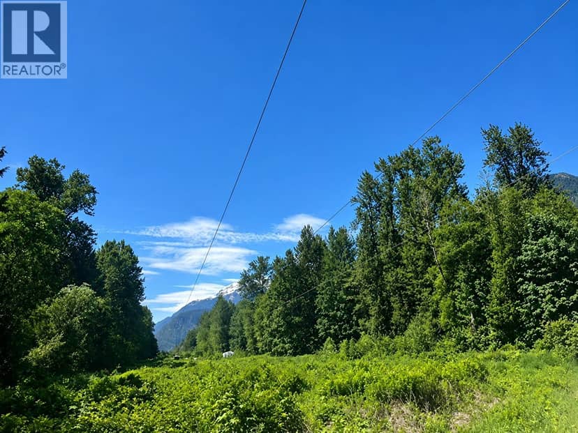 146 DOGHAVEN LANE, Squamish, photo 2