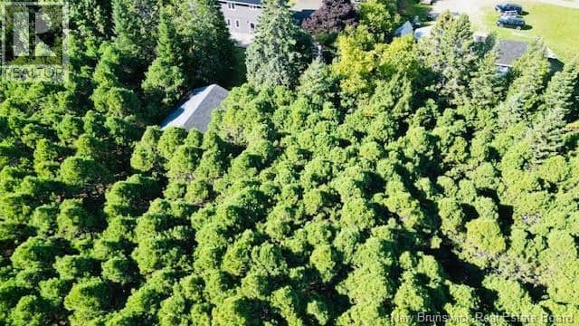 40 Lepage Street, Balmoral, photo 5