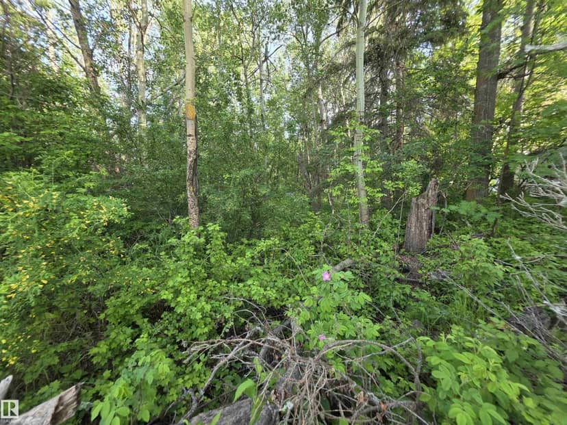 10035 hwy 13, Rural Wetaskiwin County, photo 6