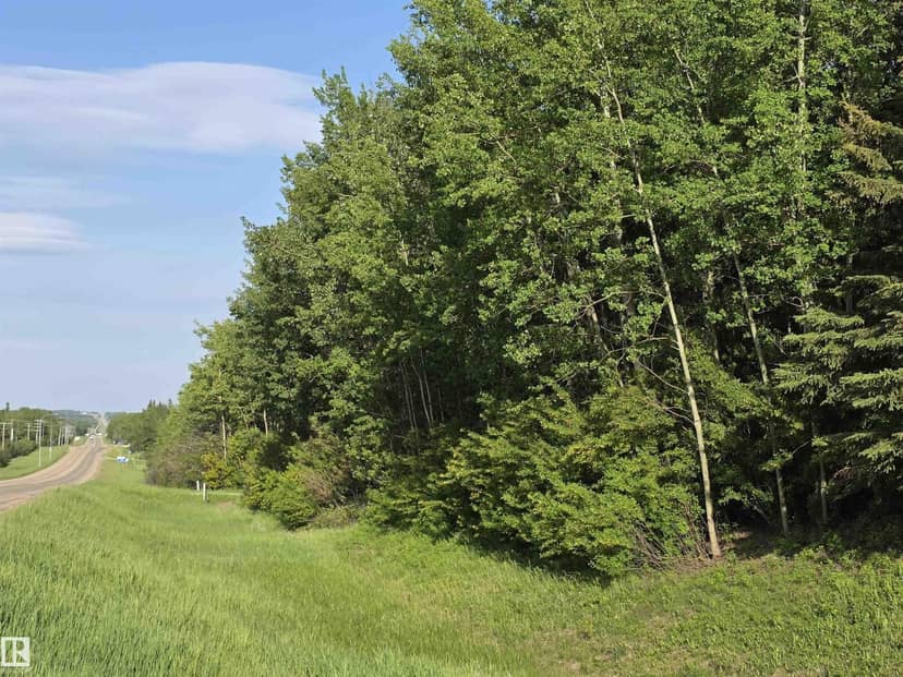 10035 hwy 13, Rural Wetaskiwin County, photo 4