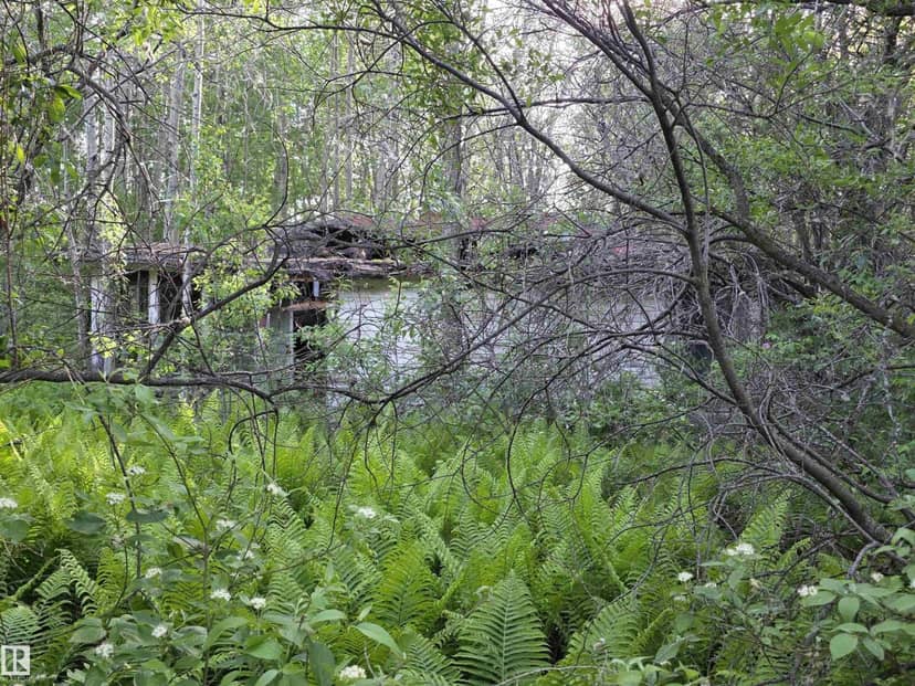 10035 hwy 13, Rural Wetaskiwin County, photo 8