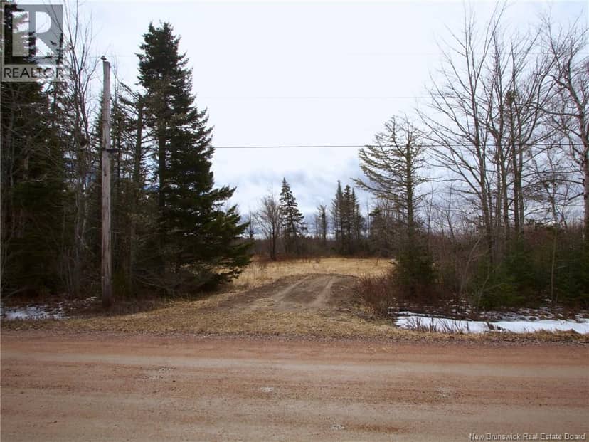Lot Moore Road, Port Elgin, photo 2