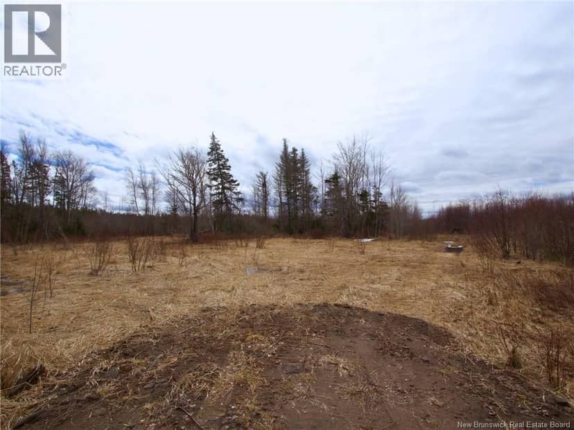 Lot Moore Road, Port Elgin, photo 3