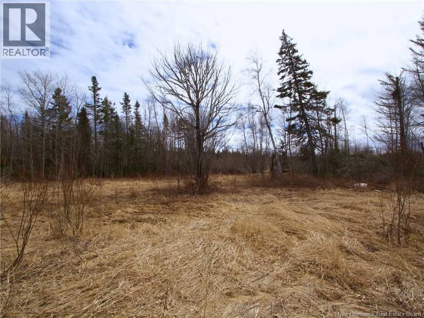 Lot Moore Road, Port Elgin, photo 5