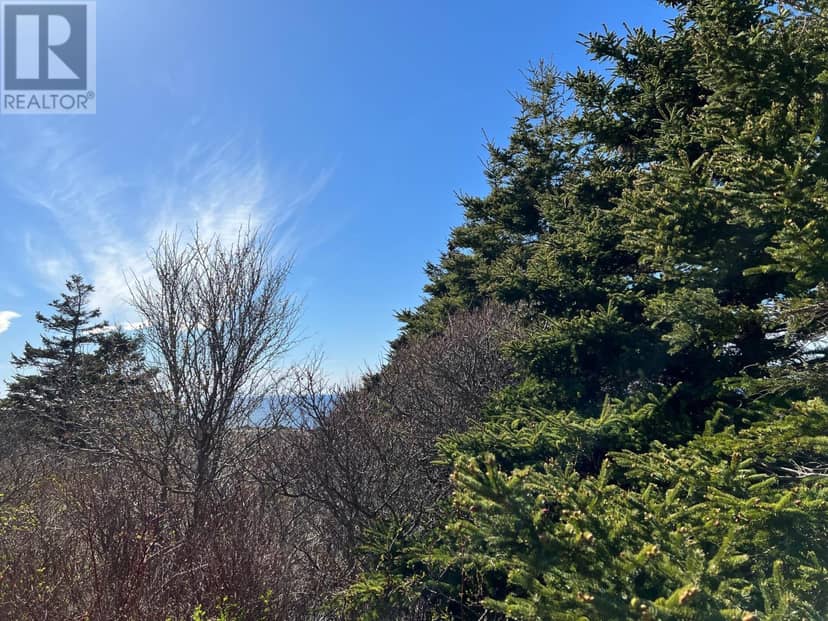 11838 Cabot Trail, Cap Le Moine, photo 5