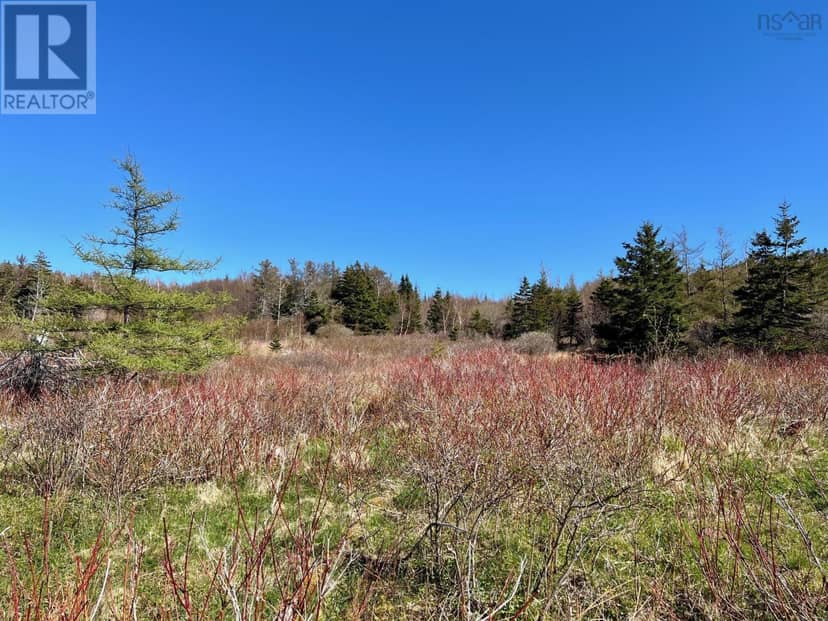 11838 Cabot Trail, Cap Le Moine, photo 6