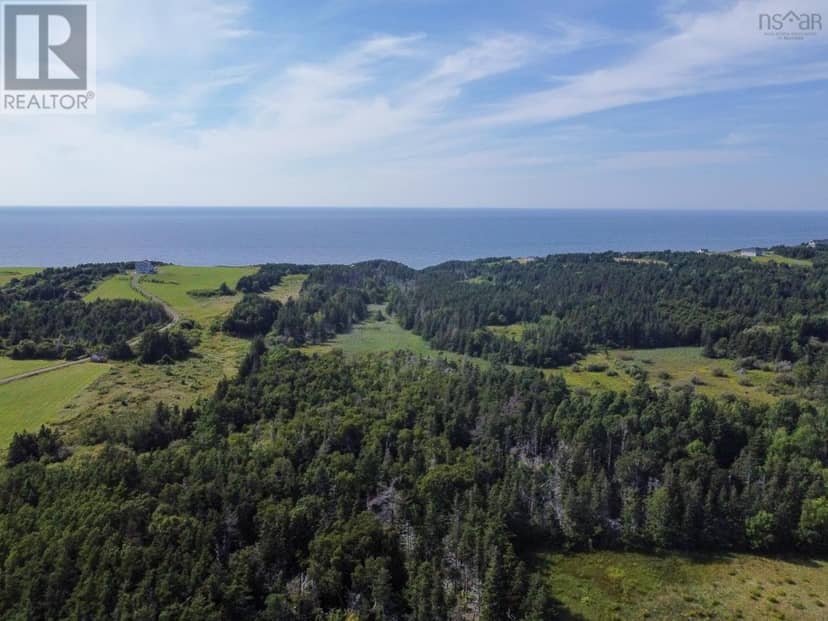 MacGarry Road, Cap Le Moine, photo 4