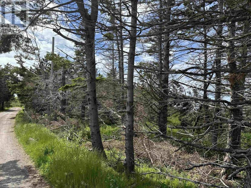 Lot Roys Island, Kings Head, photo 6