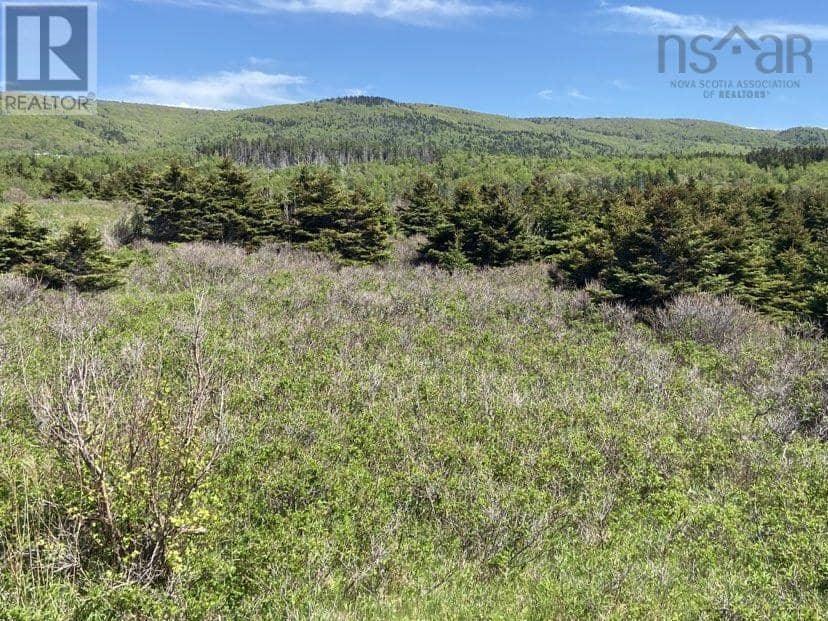 Cabot Trail, Cap Le Moine