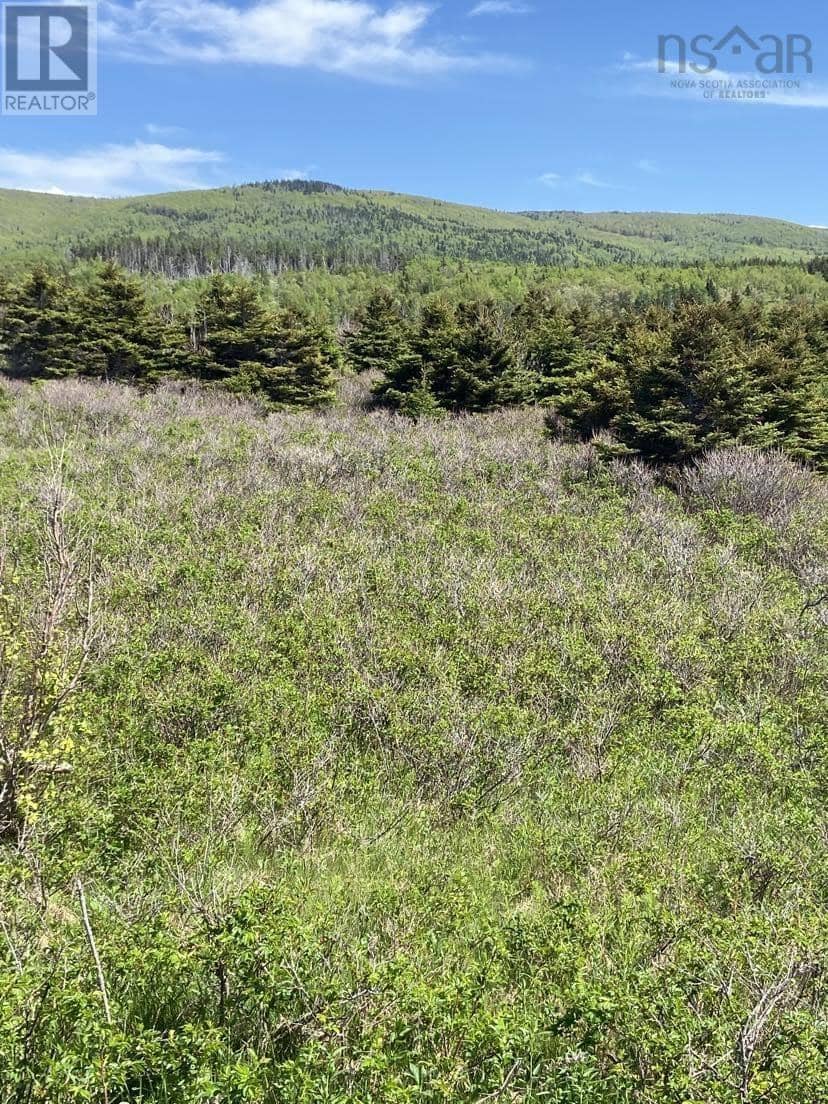 Cabot Trail, Cap Le Moine, photo 3