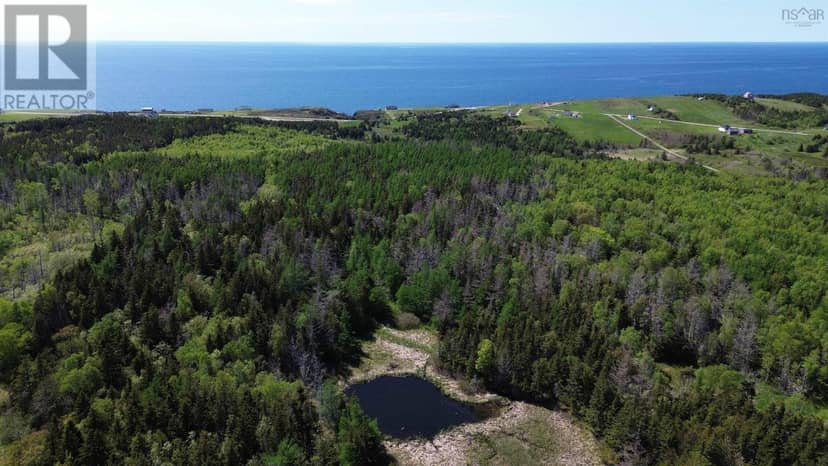 Cabot Trail, Cap Le Moine, photo 6
