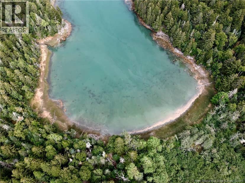 Millstream Court, Campobello Island, photo 3