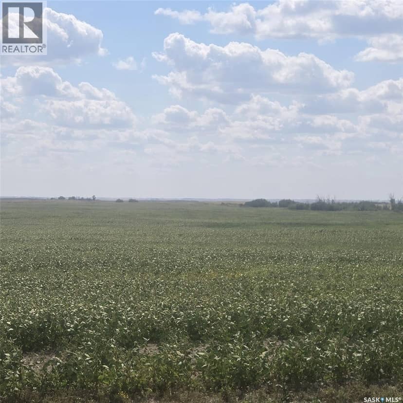 RM220 - Erhardt Shop & Farmland, Last Mountain Lake, photo 4