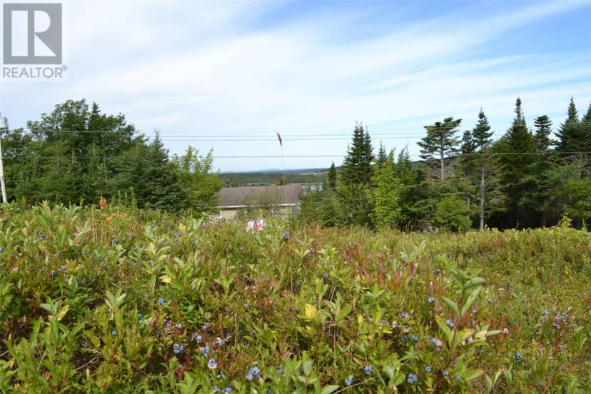 41 Juniper Crescent, Brigus Junction, photo 3