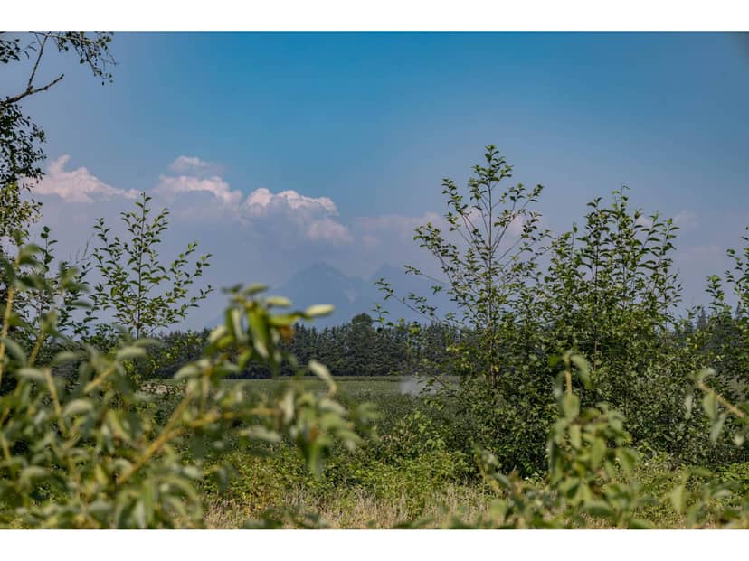 5986 232 STREET, Langley, photo 6