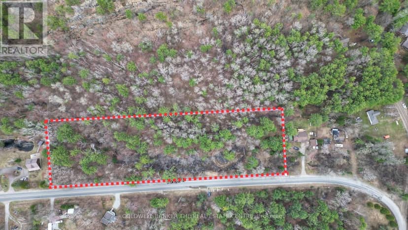 2493 Housey's Rapids Road, Kawartha Lakes, photo 3