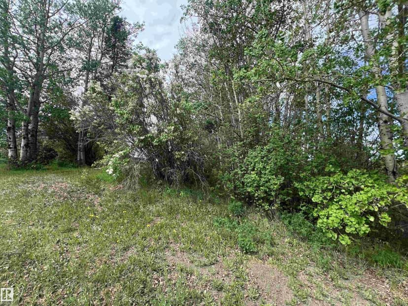 5128 50 ST, Sangudo, photo 4