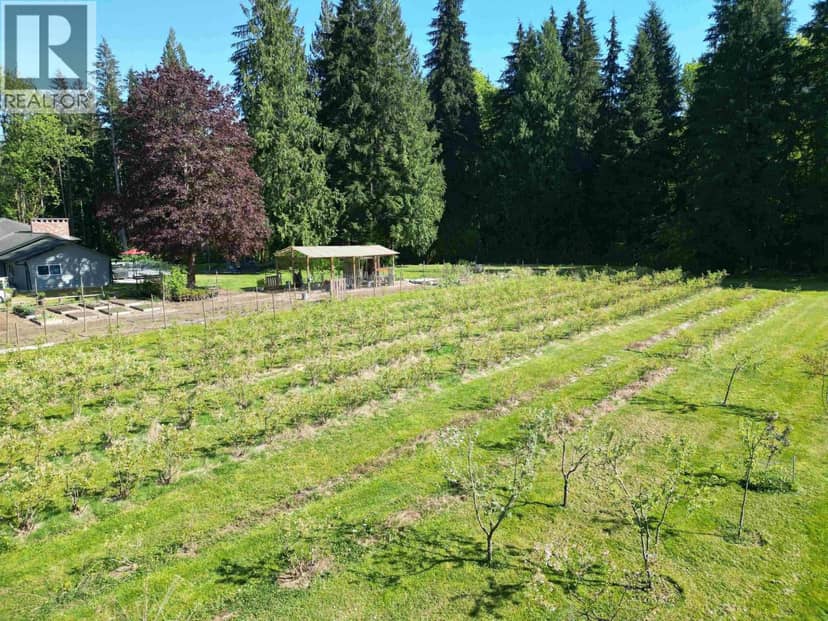 25908 124 AVENUE, Maple Ridge, photo 5