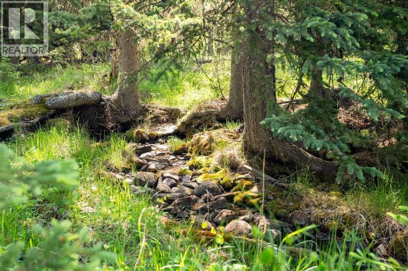 61080 Larsen Pasture Road, Rural Bighorn No. 8, M.D. of, photo 8