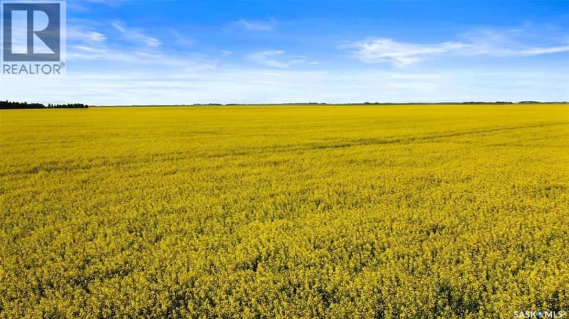 REGINA HWY. 6 North Development Land, Sherwood Rm No. 159, photo 4