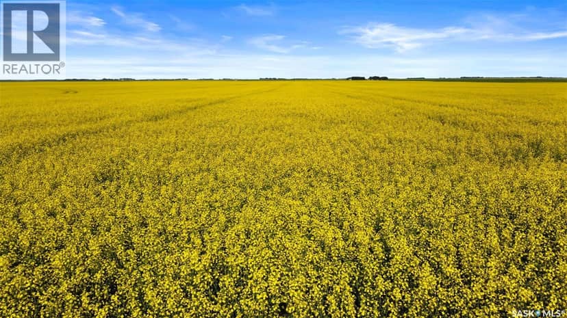 REGINA HWY. 6 North Development Land, Sherwood Rm No. 159, photo 8