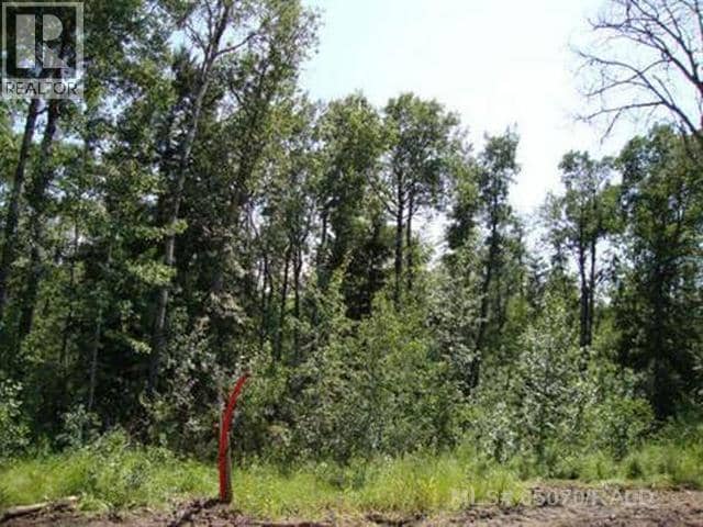 Lot 3 Blk 5 LAKESIDE Drive, Perch Lake