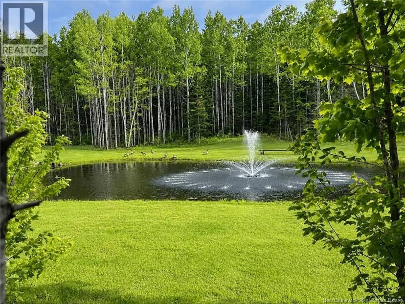 4481 Route 180, South Tetagouche, photo 3